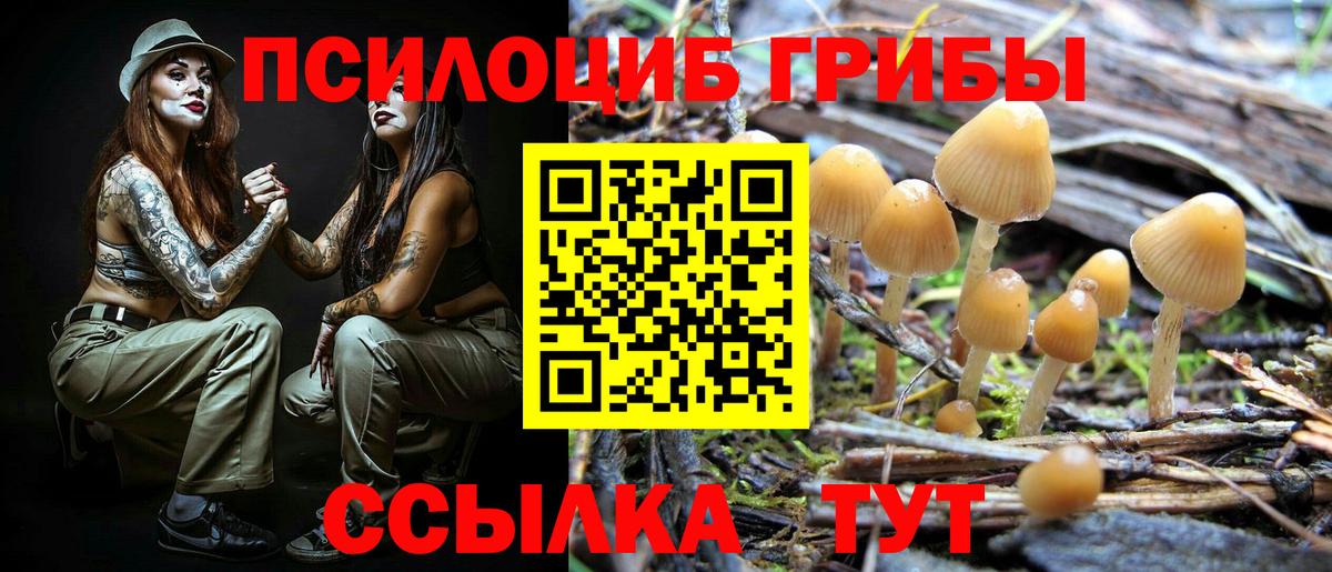 Галлюциногенные грибы ЛСД  Вход с VPN  Вязьма 